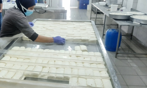 dairy-Factory-001