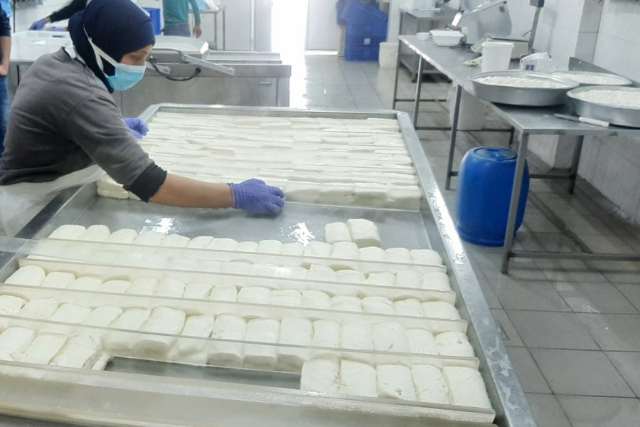 dairy-Factory-001