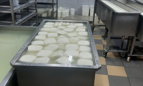 dairy-Factory-002