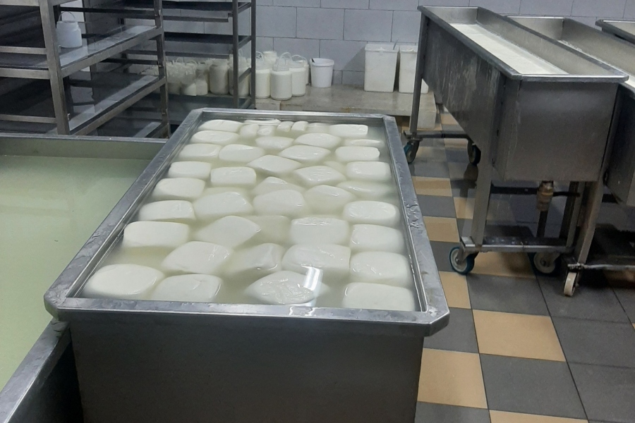 dairy-Factory-002