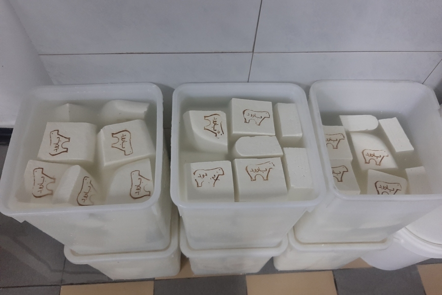 dairy-Factory-003