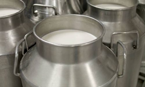 metal-milk-jugs-picture-id671065136