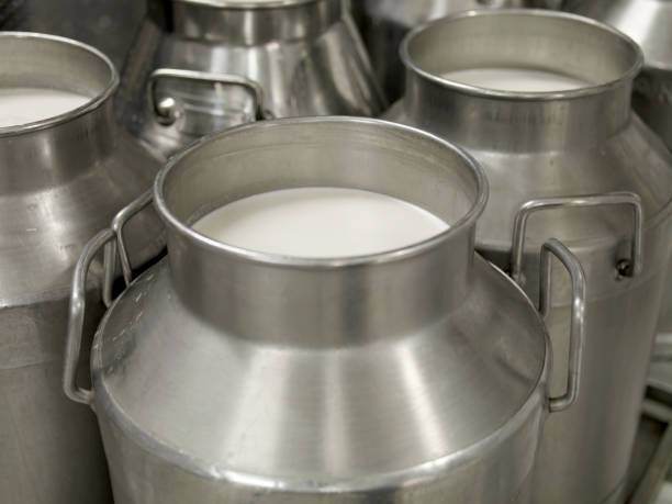 metal-milk-jugs-picture-id671065136